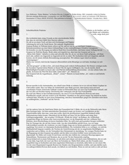 2002 Schreibtischliche Fauleins Possible Press.pdf